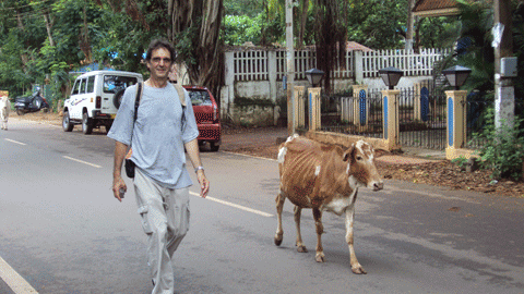Goa India July 2009